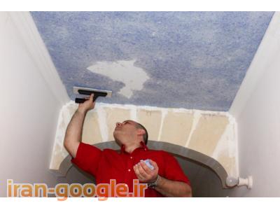 نقاشی بلکا کنیتکس مولتیکالر (( مانی)) کلیه نقاط