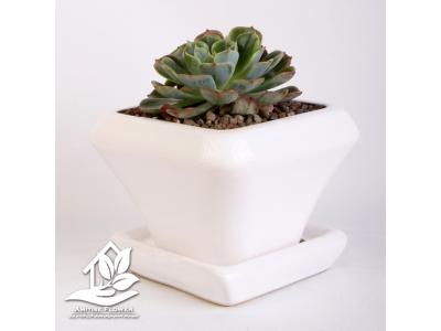 گلدان های تبلیغاتی 