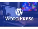 آموزش طراحی سایت حرفه ای با ورد پرس (WordPress) - مشهد