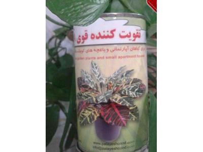 تقویت کننده قوی گیاهان آپارتمان و باغچه های کوچک