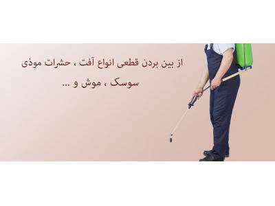 سمپاشي موش