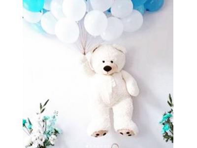 فروشگاه لوازم و تم تولد در تهرانپارس