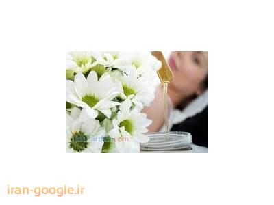  قصر عروس ساقی در رودکی ، گریم و میکاپ فوق تخصصی عروس 