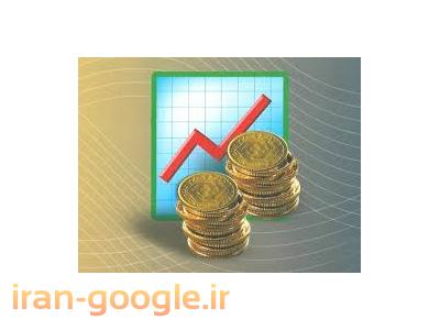 تدبیرگران بهار  موسسه خدمات مالی و مشاوره مالیاتی 