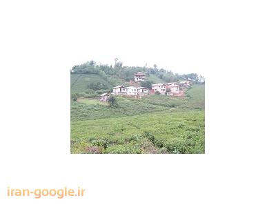 دریافت سند مالکیت و پروانه ساختمان