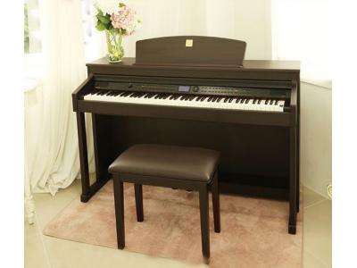 فروش استثنایی پیانوهای دیجیتال (اصل کره ) DPR3500