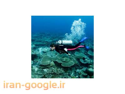 اموزش غواصی با مدرک معتبر از فدراسیون نجات غریق و غواصی کشور