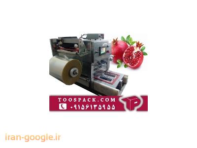 دستگاه بسته بندی میوه