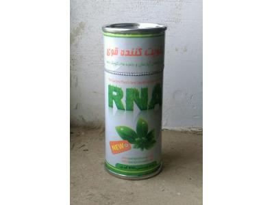 تقویت کننده قوی گیاهان آپارتمان و باغچه های کوچک