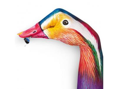 مجهزترین کلینیک ارزیابی شنوایی و تجویز سمعک در شمال تهران