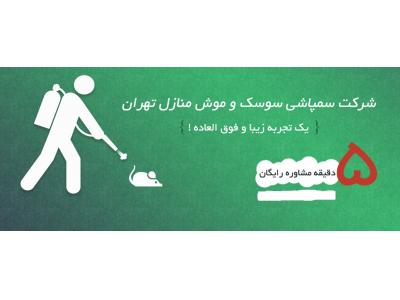 سمپاشی ساختمان