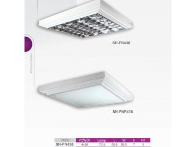 تولید و فروش انواع  چراغ روشنایی ، تولید کننده چراغ فلورسنت و کم مصرف
