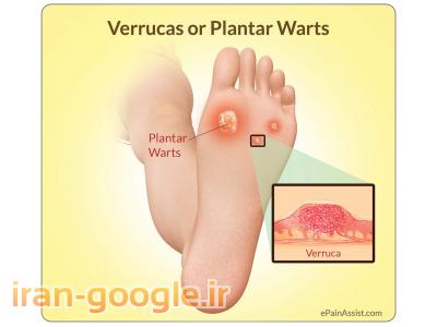 اولين و پيشرفته ترين مراكز تخصصي پاپزشكي در ايران