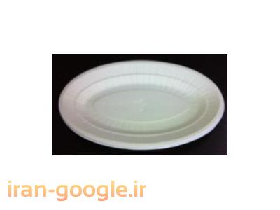 ظروف یکبار مصرف گیاهی - پهرم ظرف