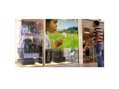 ویترین - تلویزیون ٍEPR