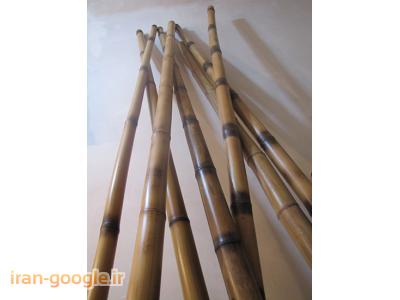 فروش چوب بامبو حکاکی روی چوب بامبو