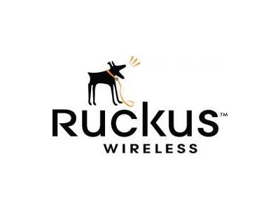 نصب کنترل روی چراغ-فروش تجهیزات حرفه ای    Ruckus Wireless 