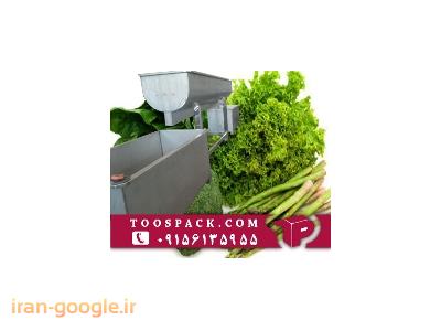 دستگاه شستشوی صیفی جات 