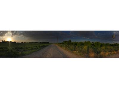 فروش یا معاوضه باغ 