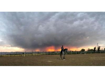 آموزش سوارکاری از پایه تا پیشرفته در شیراز 