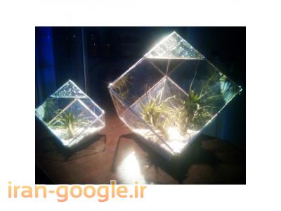 تراریوم استند گلس