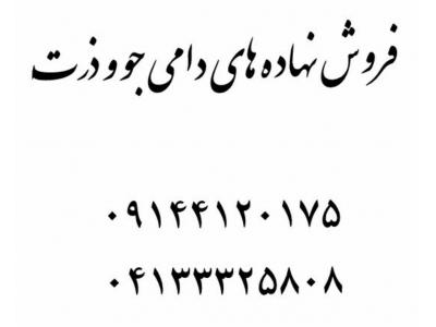 فروش نهاده های دامی